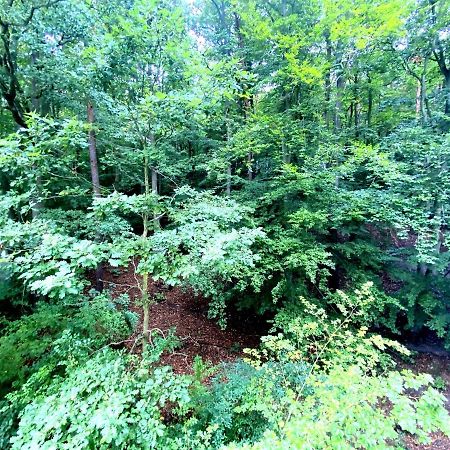 Forest - 23 Marca Sopot By Grand Apartments Bagian luar foto