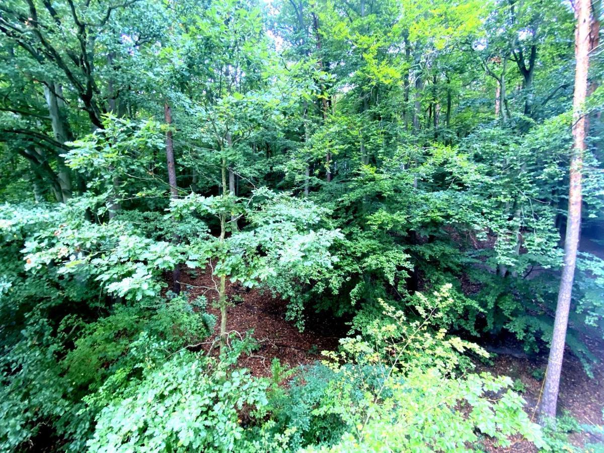 Forest - 23 Marca Sopot By Grand Apartments Bagian luar foto
